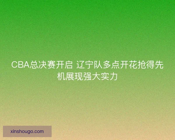 CBA总决赛开启 辽宁队多点开花抢得先机展现强大实力