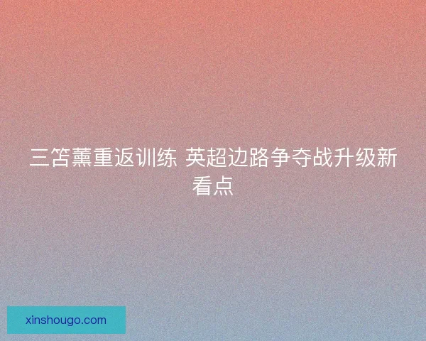 三笘薰重返训练 英超边路争夺战升级新看点